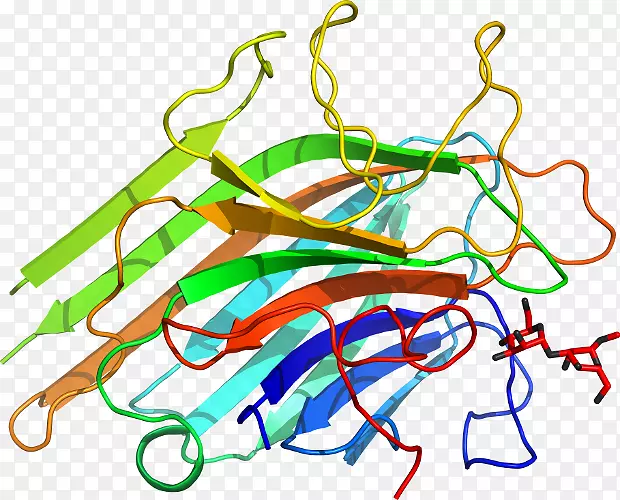 �����������-�ϻ���ޣ-������