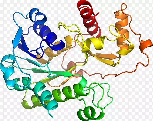 �����߶��������-�ϻ���ޣ-������