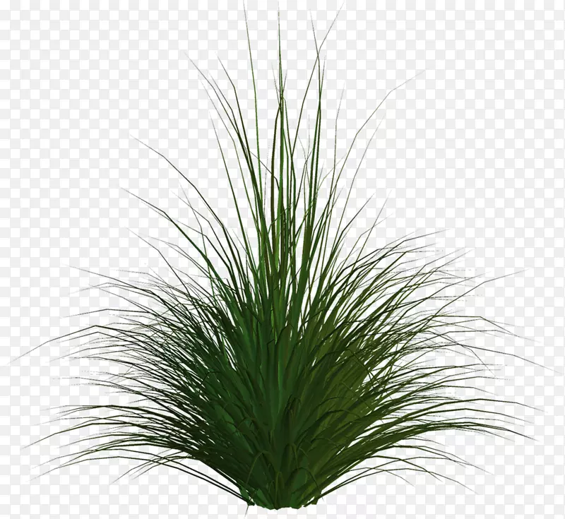 ������-�̲�-������