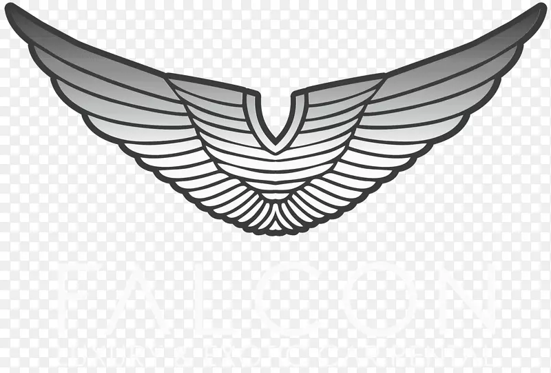 ��������ӥĦ�г��µ�-SUV��־-������