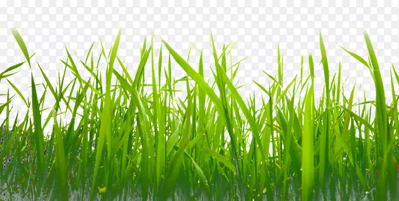 ����lcd����������ܵ���1080 p�̲�-������