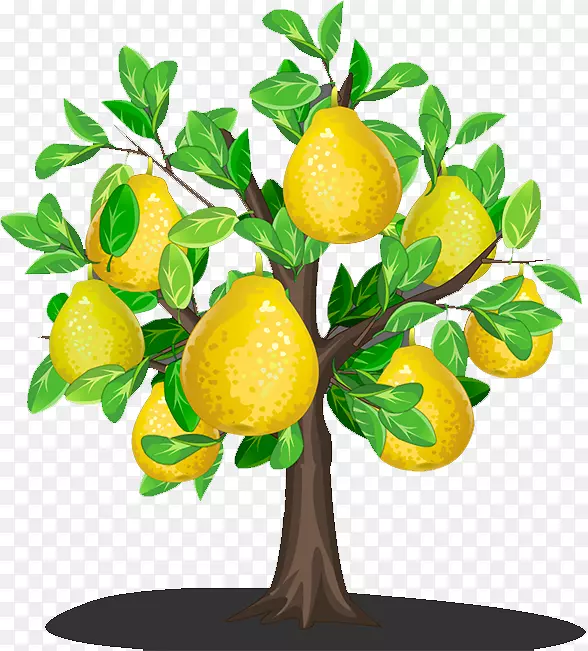 ����������u9999u68a8u5bbeu 9986-��-������