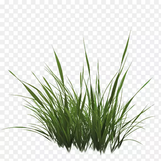 ����ӳ������������ֽ����������-������