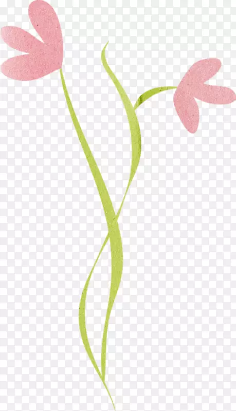 ����Ҷֲ�ﾥ����ֲ���֦-ԭľ�ṹ-������