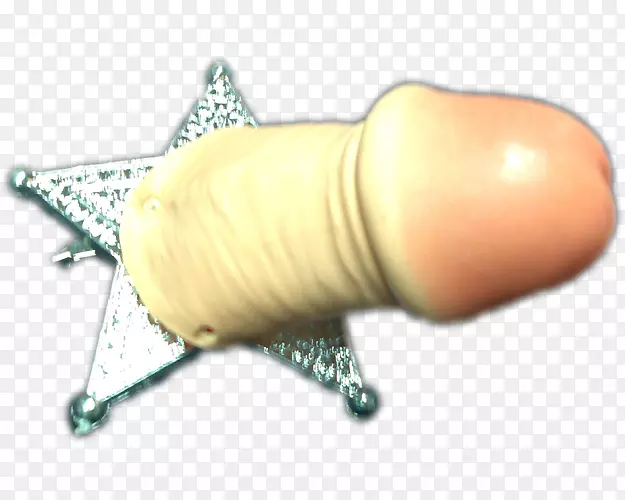 ��ָ����-������