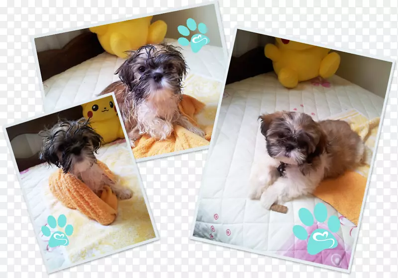 ʯ��Ħ��������������������С��-������