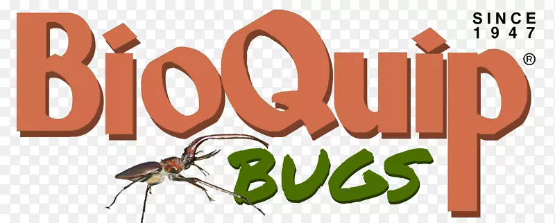 ��������ѧ���޼�׵����ѧ�Ļ������������Ҷ�걾-������