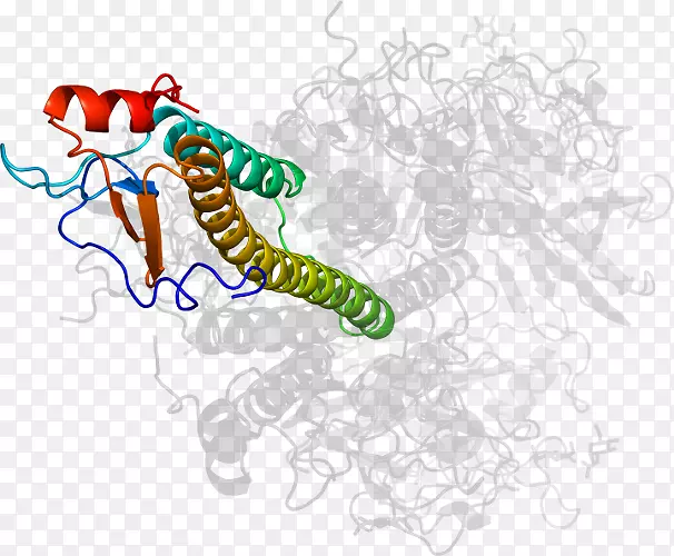 ���������-����-������