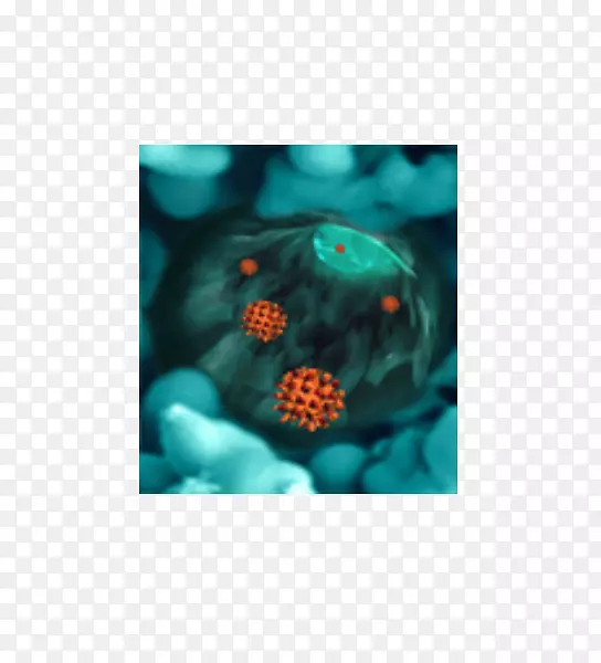 ����ʯ���겡��c-������