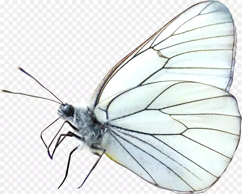 ������-���洴��-������