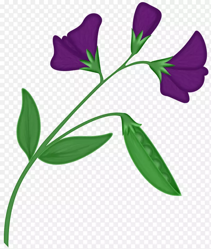 �㶹�����ֻ��㶹��-������