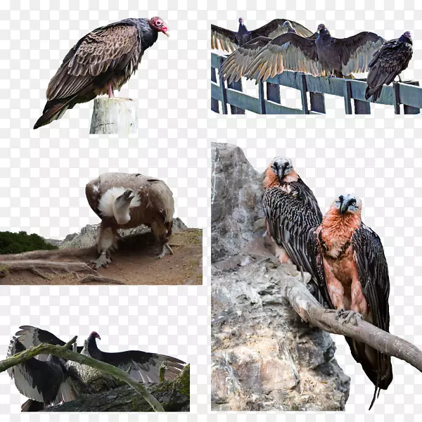 ͺ�ն���Ұ���������찮��-������