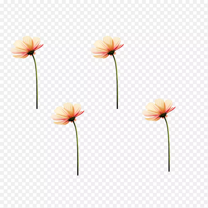 ���꿪��ֲ�ﾥ-90-������