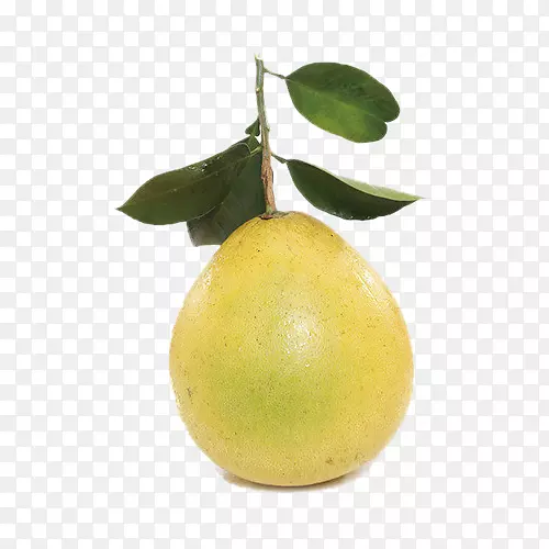 ������Ȳ�˹���-������-������