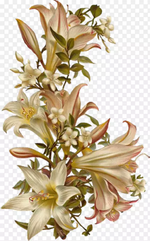 �廨����-ʤ������-������