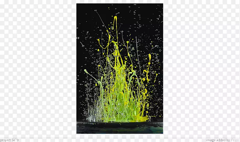 ��������Ӱʦ�滭��Ӱ-��-������