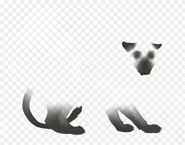 ��è����-�籩��ë��ɫ-������