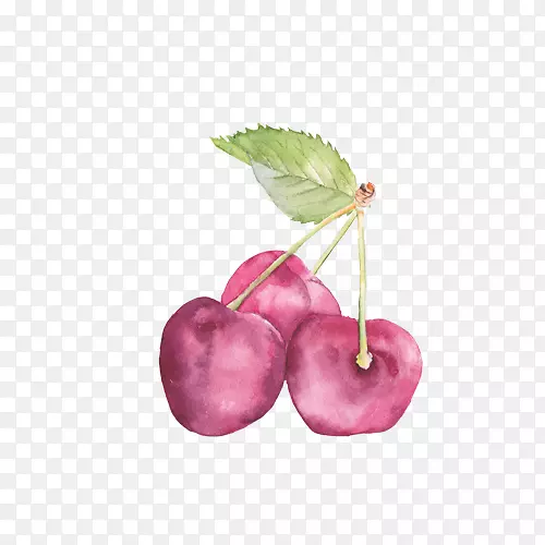 ӣ�ҵ���-ӣ��-������