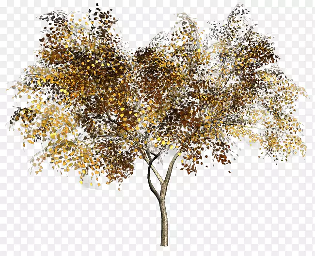 ��ľˮ�ʻ�������-����������-������