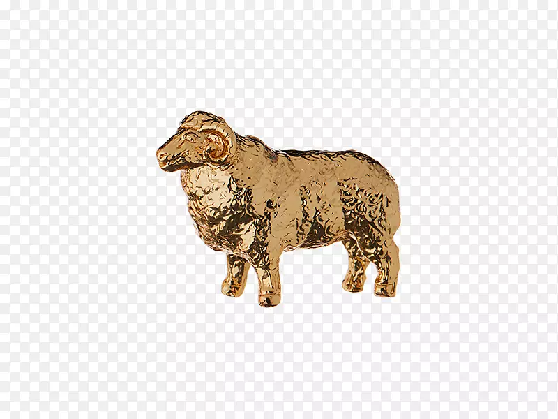 ����ū�ƽ���.��������-������