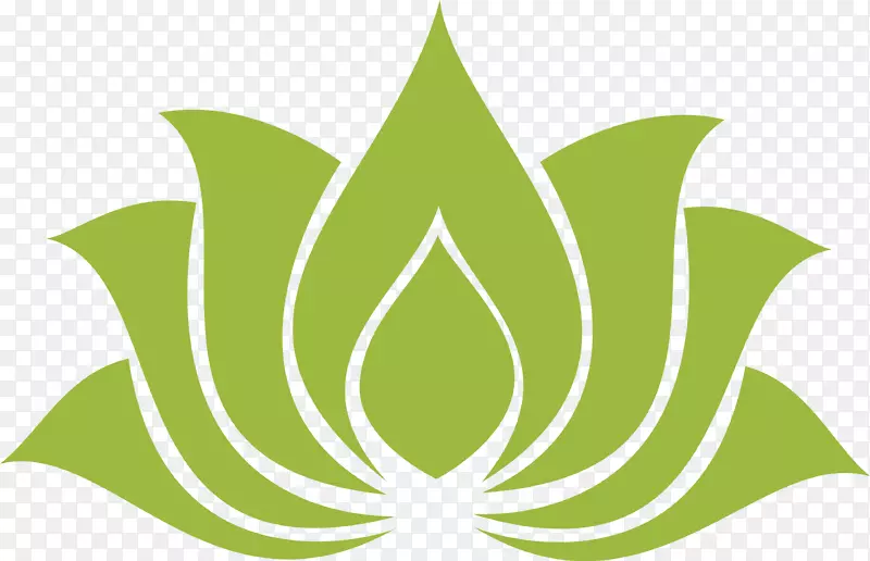 Nelumbo nucifera��ͼ��˰-��Ҷ-������