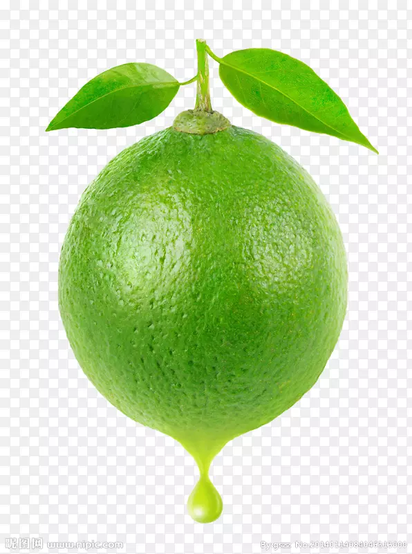 ��֭��β���������������-������