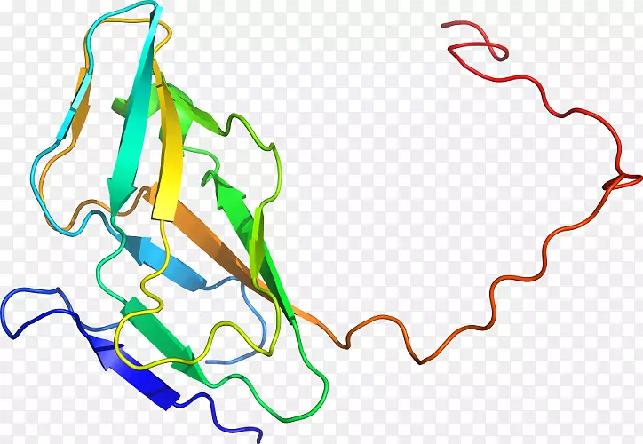 ֱ�ߵ������������-�ݲݸ˾�-������