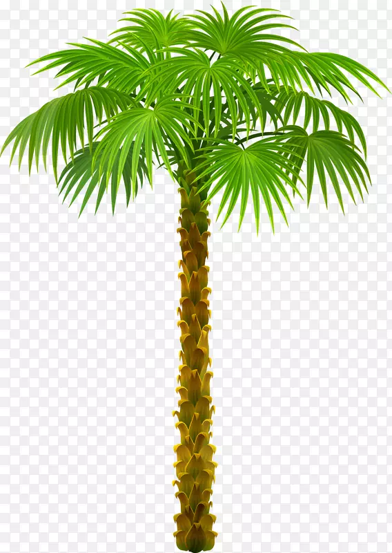 �����������-�����������-������