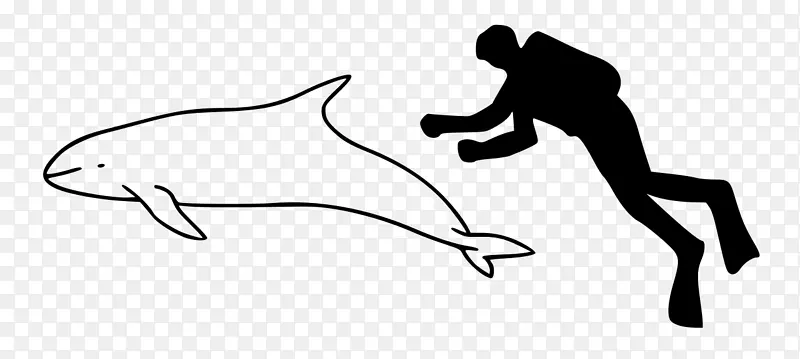 ����Sarcosuchus��������׼���-����-������