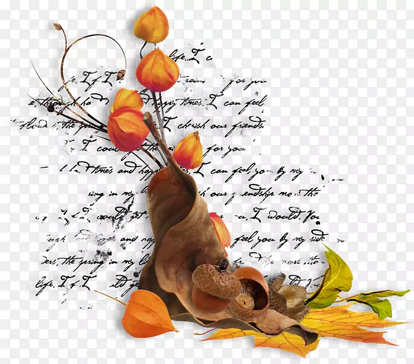 �＾���ͼ�����-��Ԫ��-������