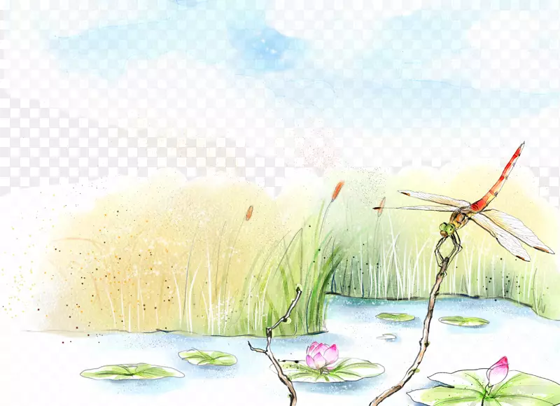 ˮ�ʻ�����-����-������