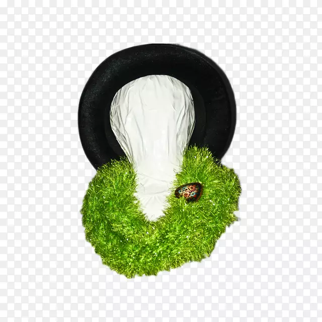 �̽�˿-������