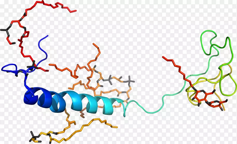 �ߵ����������-ũҵ�°�-������