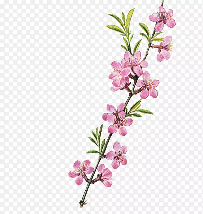 �������-��ͨի�����-������