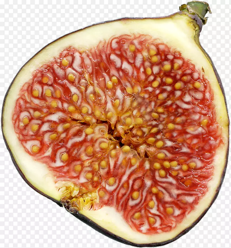 �����޻����Ʒ�����޻���-������