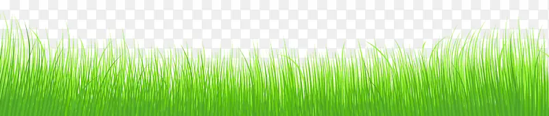 �����Ҷֲ�ﾥǽֽ����͸��PNG������ͼ��-������