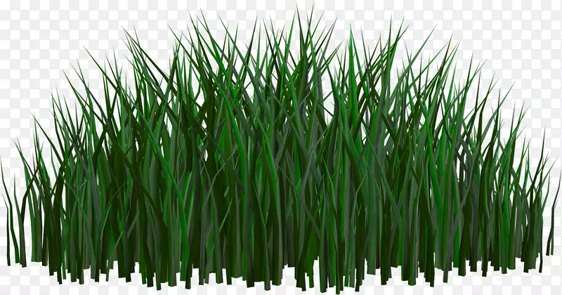 ������-�̲�-������