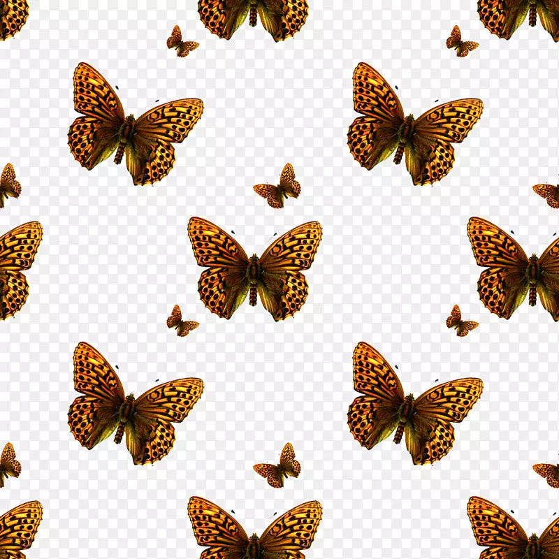 ��ͼ��Ӱͼ��-��������-������