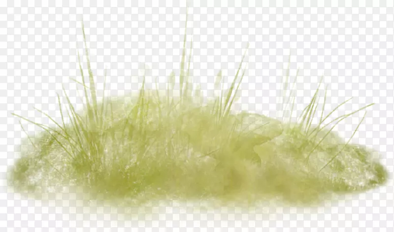 �������̲�-������