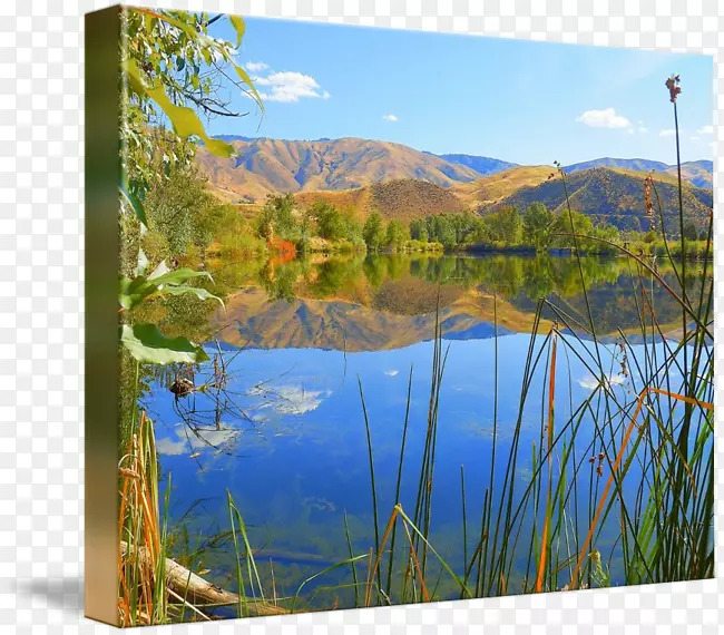 ˮ��Դ�����̬����.����-������