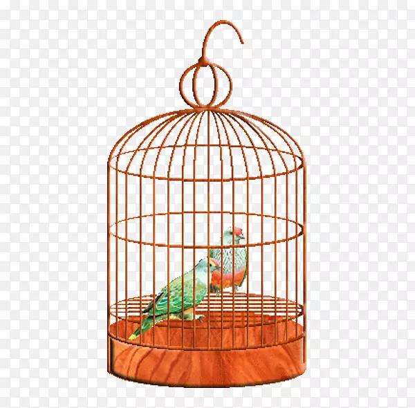 ��������-����-������