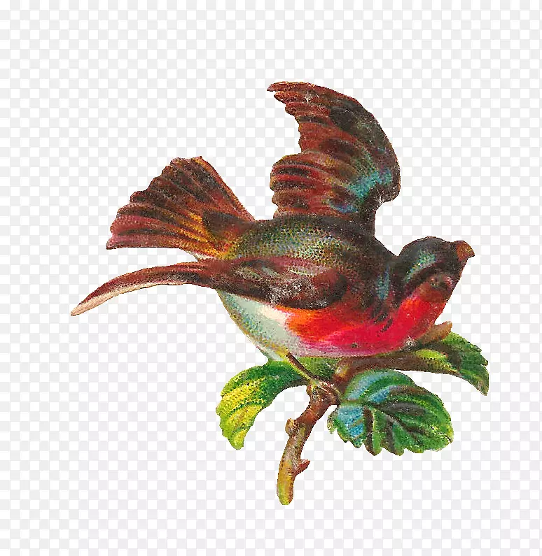 ���������.��ʽ����-������