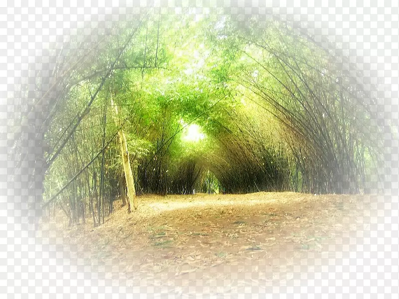 Lofter����ɽˮ������-������