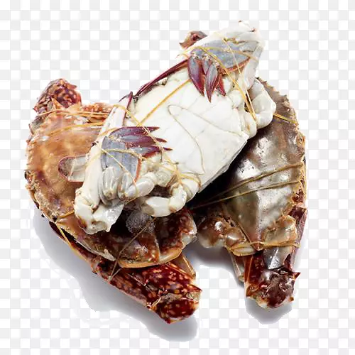 �޵˿�з������з-Ұ���з����-������