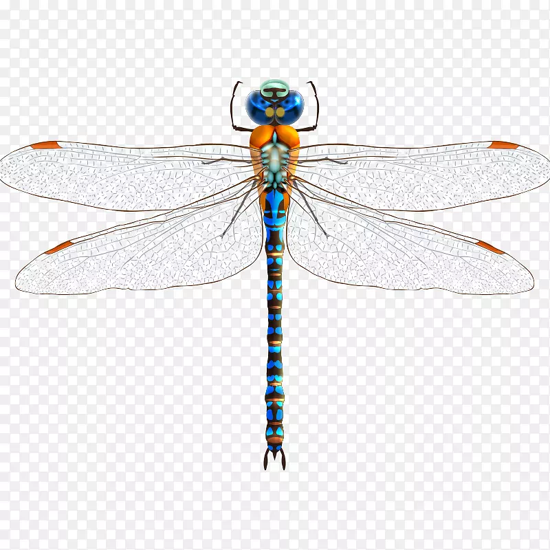 �������Ѽ�����-���棬����-������