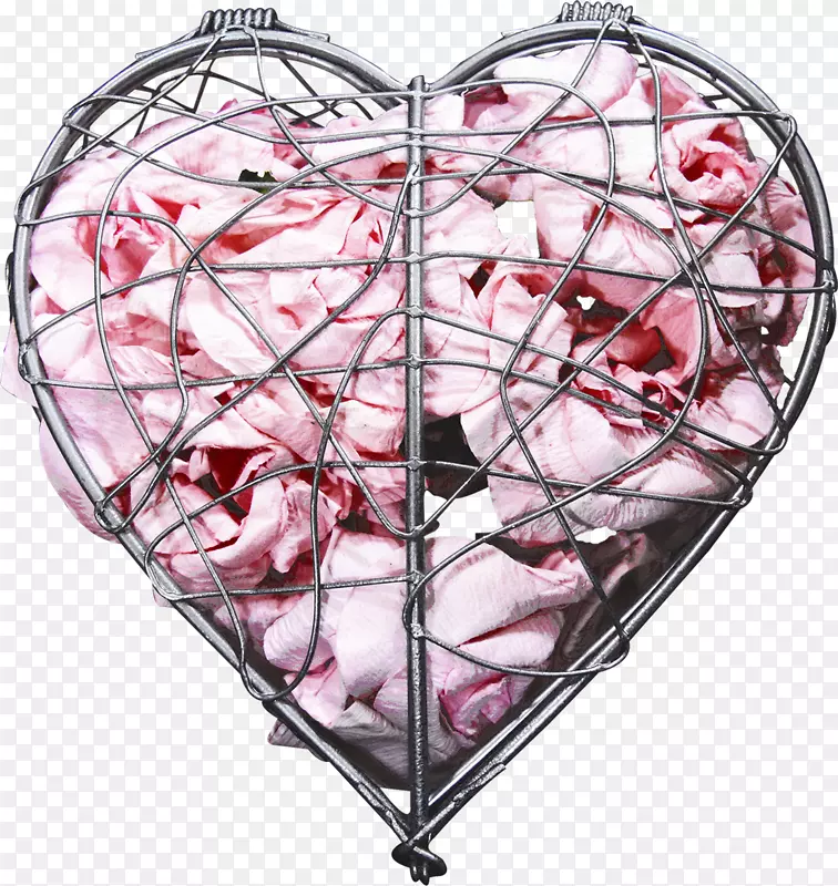 Rinigungswasser��Ӱ����-���۵���-������