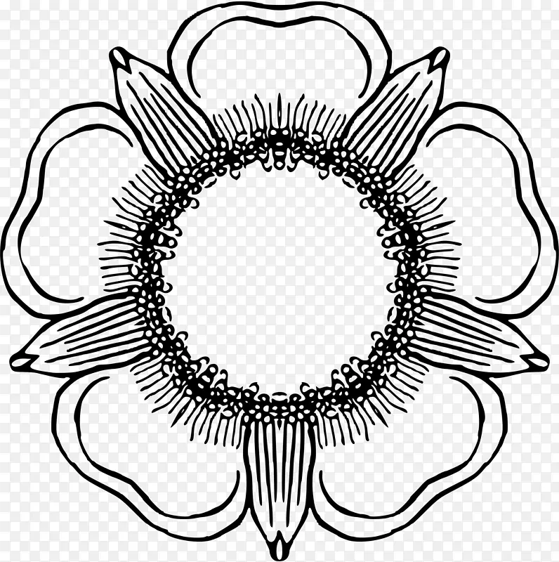 ����ͼ���û����������ֽ��������ͼ�Գƻ���-������