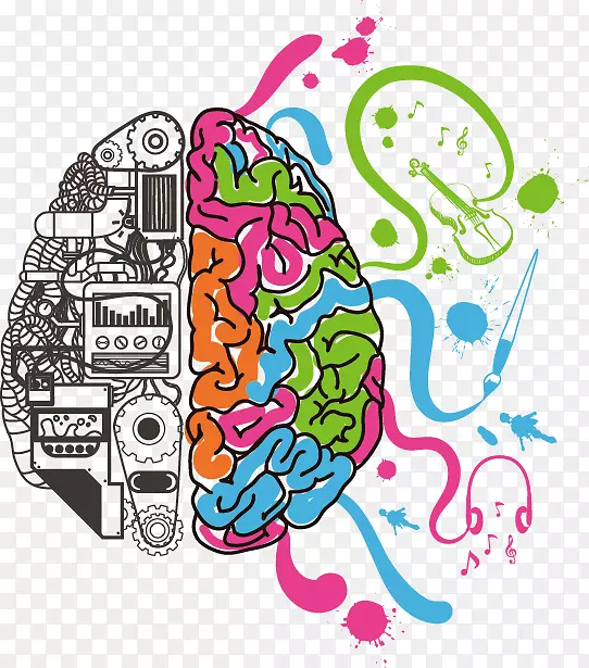 ���Թ��ܵ�ƫ�໯���Կ�ѧ�ֻ���-������