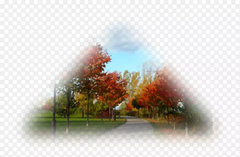 �����ֽ�羰��Ȼ��Ӱ������ʾ��-������