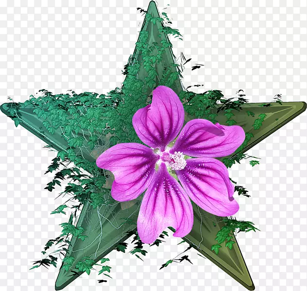 �л�����ֲ��ۺ�ɫm-ֲ��-������